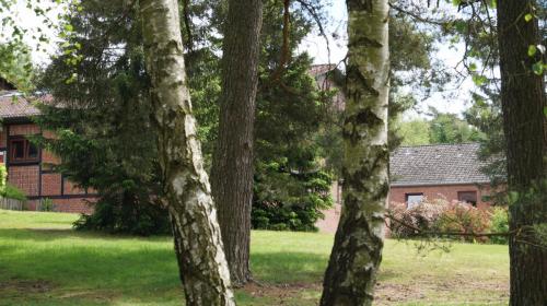 Jugendferienheim Sprötze, Außengelände mit Blick in Richtung Haupthaus