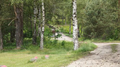 Jugendferienheim Sprötze, Außengelände mit Blick in Richtung Anfahrt