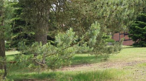 Jugendferienheim Sprötze, Blick in Richtung Haupthaus