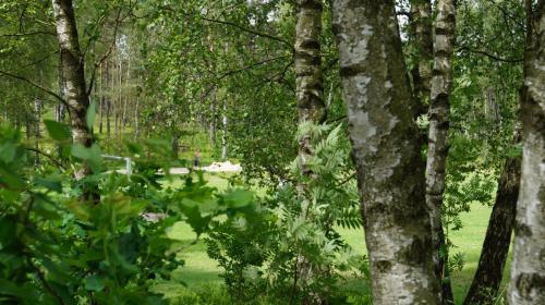 Jugendferienheim Sprötze, Blick zum Beachvolleyballfeld
