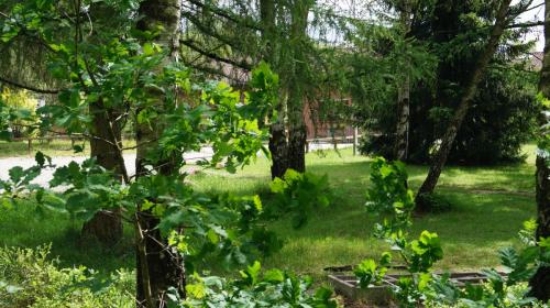 Jugendferienheim Sprötze, Blick in Richtung Hauptgebäude