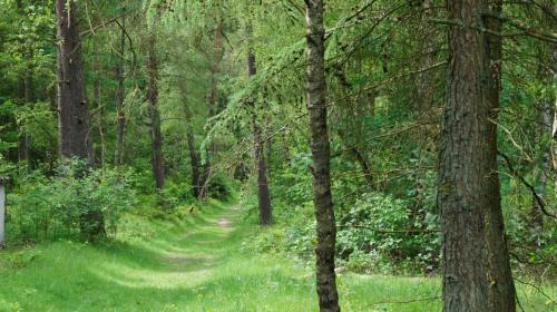Jugendferienheim Sprötze, Wanderweg