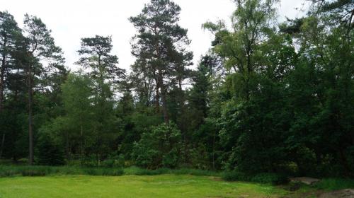 Jugendferienheim Sprötze, das Gelände ist an 3 Seiten von Wald umgeben
