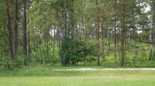 Jugendferienheim Sprötze, das Gelände ist an 3 Seiten von Wald umgeben