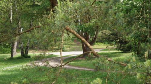 Jugendferienheim Sprötze, Buskehre 