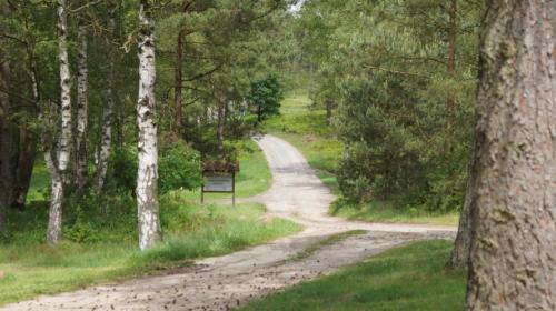 Auf Wiedersehen und bis zum nächsten Mal